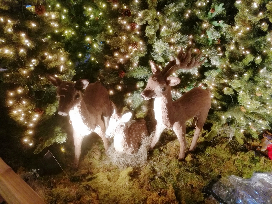 크리스마스 트리, 나무, 포유류, 사슴, 크리스마스 장식, 크리스마스 이브, 동물, 크리스마스, 야외