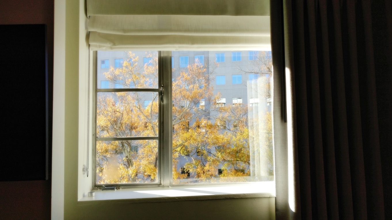 창문, 실내, 커튼, 인테리어 디자인, 블라인드, 일광, 벽, 건물, 가을