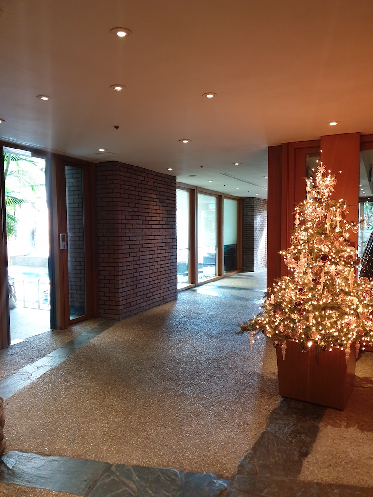 실내, 인테리어 디자인, 크리스마스, 바닥, 크리스마스 트리, 천장, 벽, 창문, 크리스마스 장식, 바닥재, 방, 식물, 나무