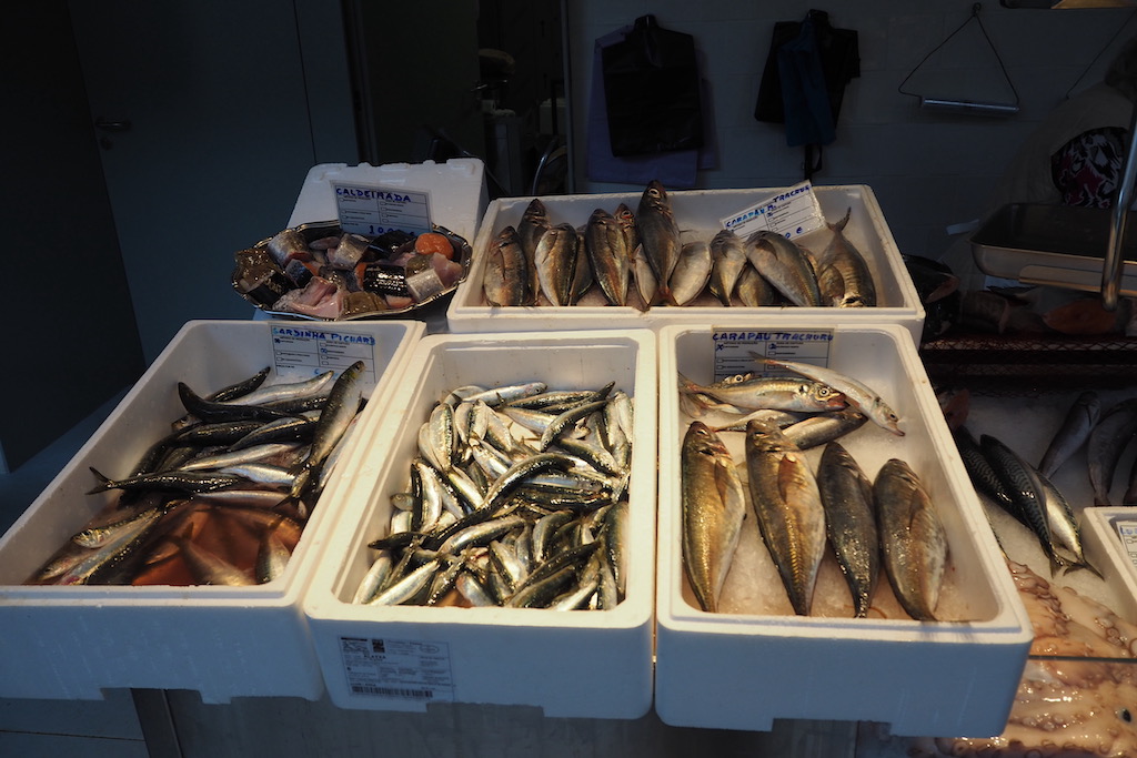 해산물, 생선 제품, 동물, 물고기, 염장 생선, 실내, 정어리, 음식