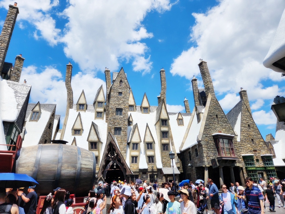 a large crowd of people outside a castle