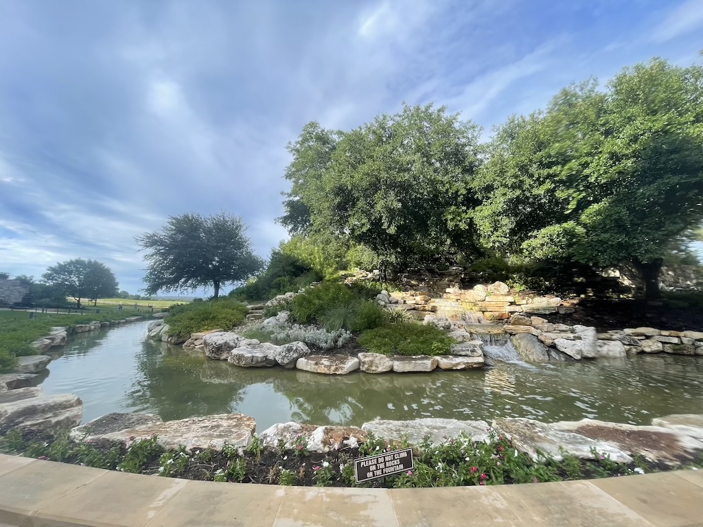 a pond with rocks and trees