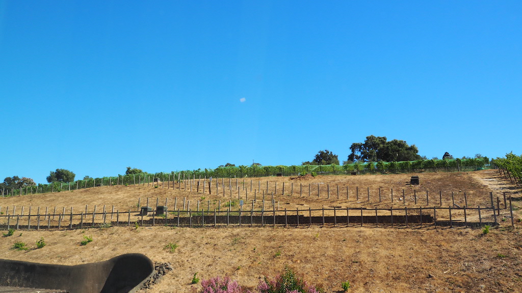 a fenced in field with a wooden fence and trees in the background