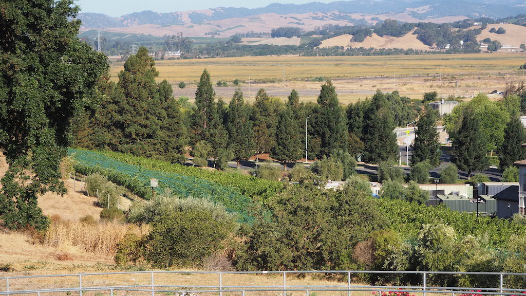 a landscape with trees and houses