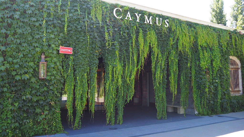 a building covered in ivy