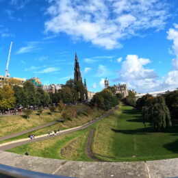 a park with a castle in the background