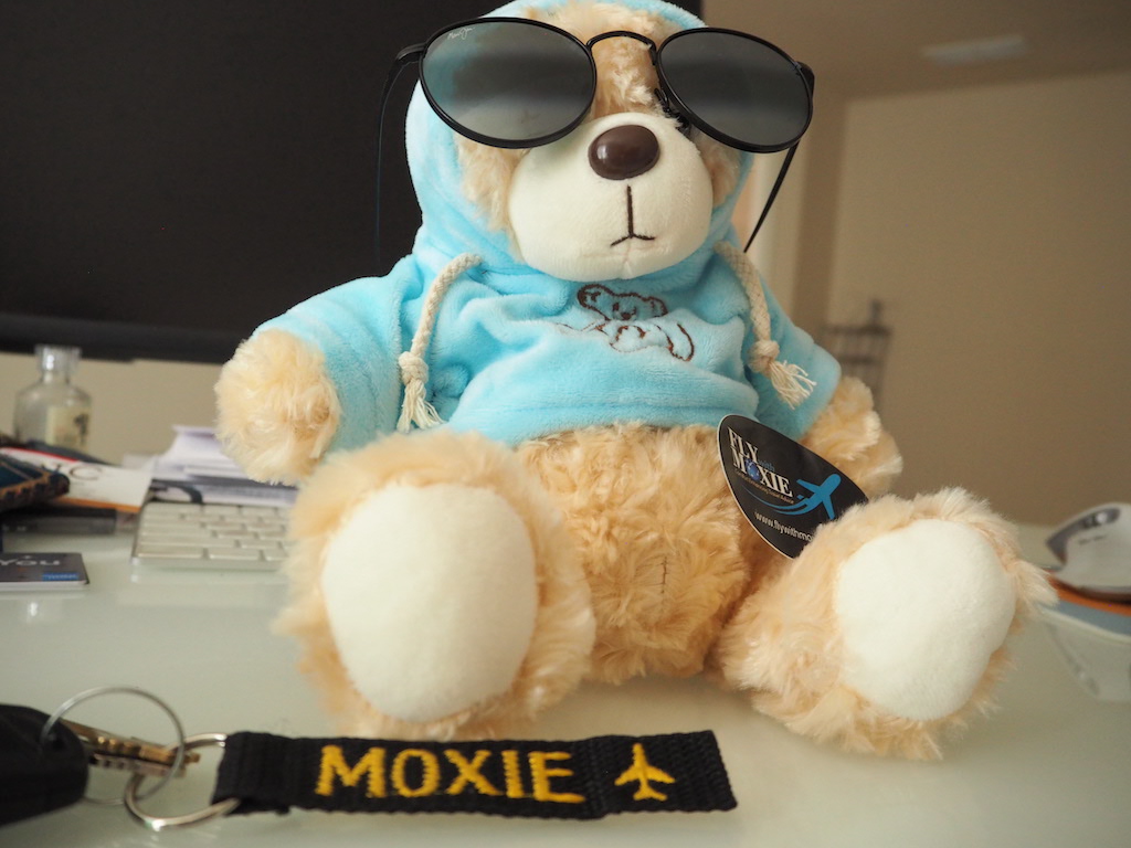 a stuffed bear wearing sunglasses