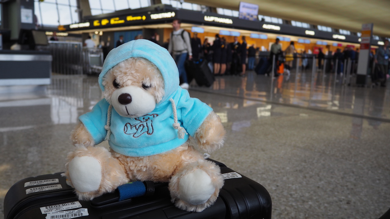 a teddy bear sitting on a luggage bag