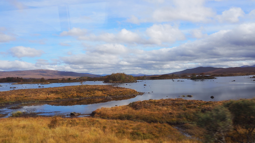 a body of water with grass and trees around it