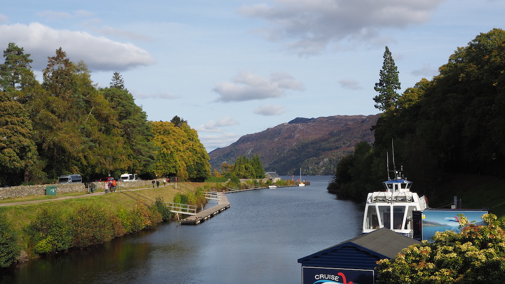 a river with boats and trees