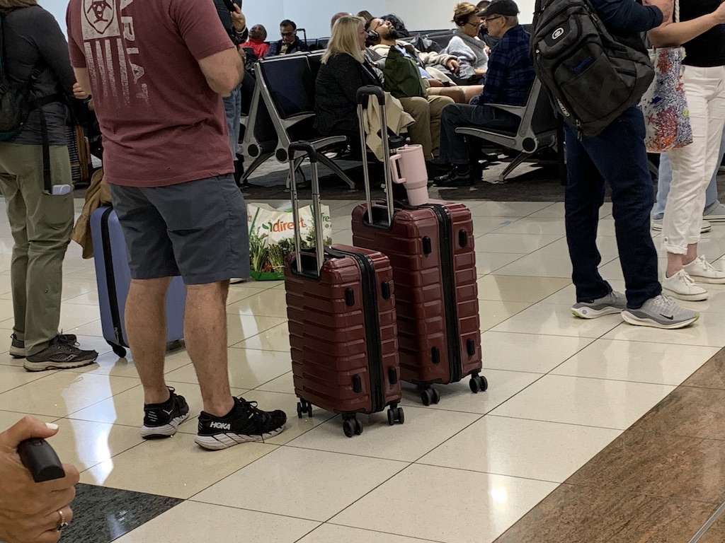 a person with a suitcase