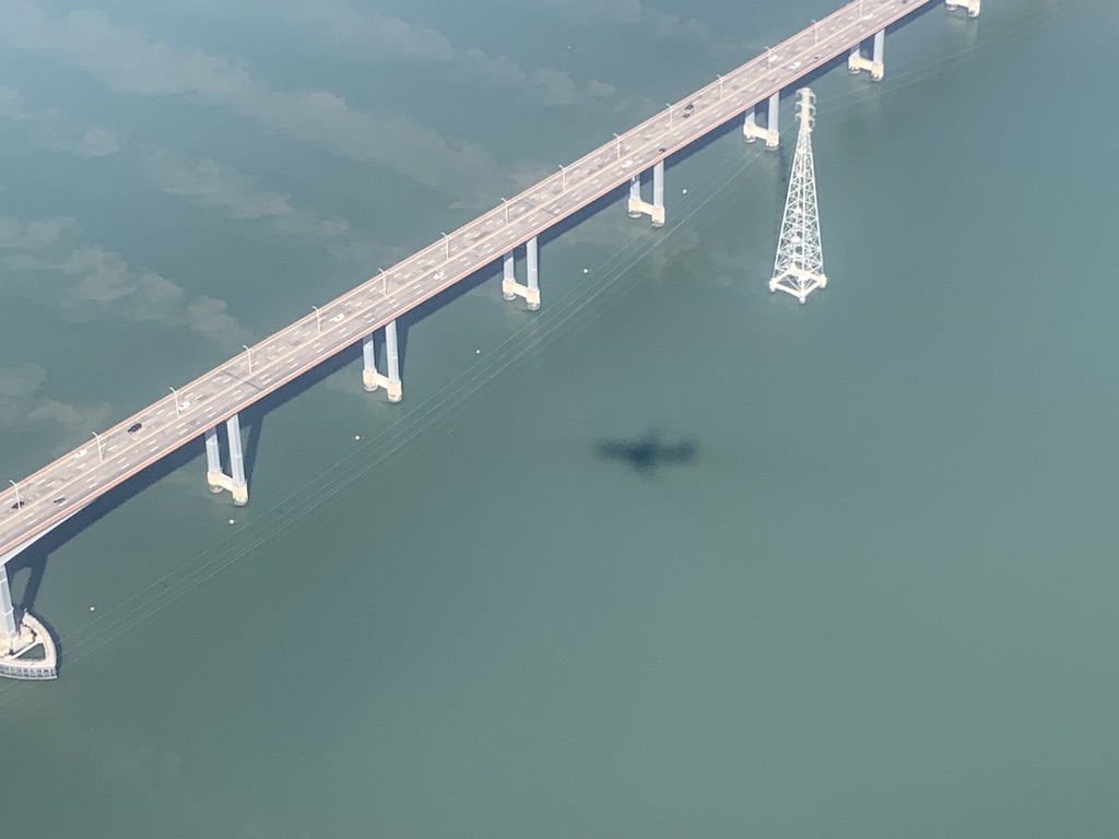 a bird flying over a bridge