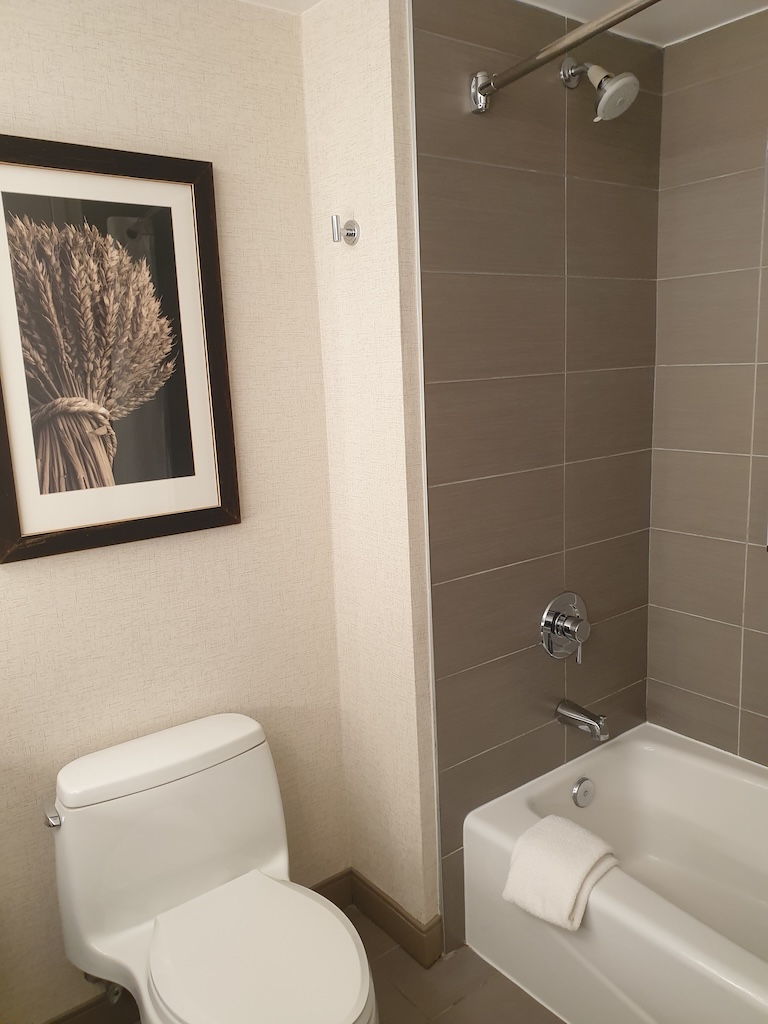 a bathroom with a toilet and bathtub