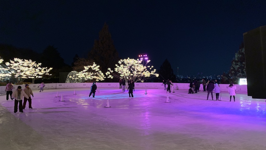 people ice skating at night