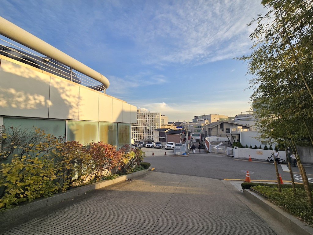 a street with buildings and trees