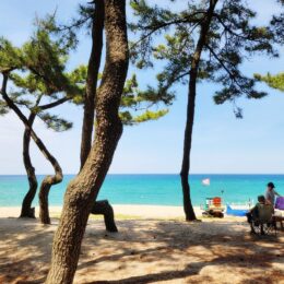 a couple of people sitting on a bench by the water