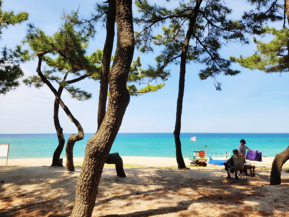 a couple of people sitting on a bench by the water