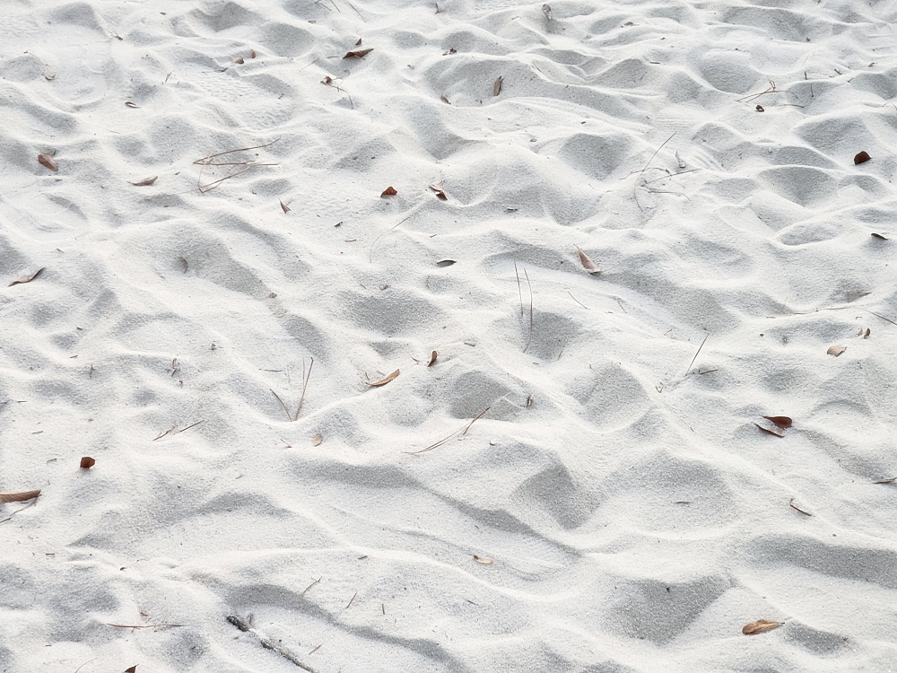 a snow covered ground