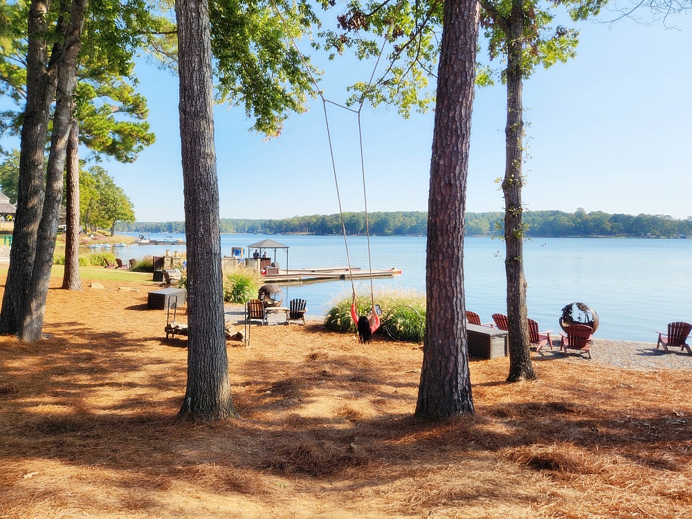 a beach with trees and chairs