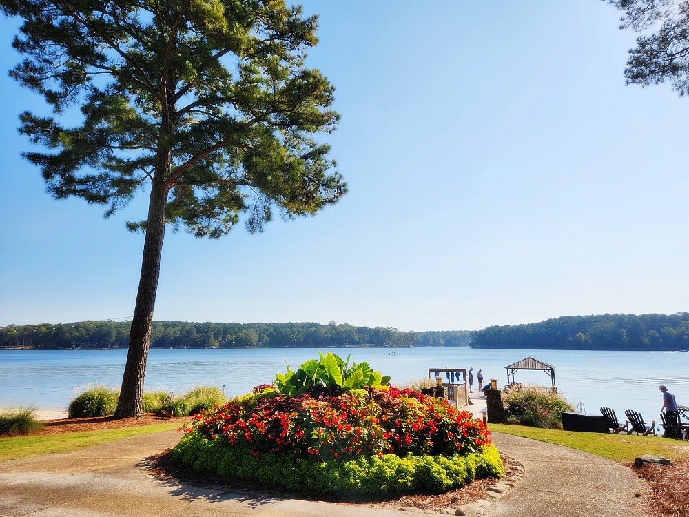 a flower bed in front of a lake