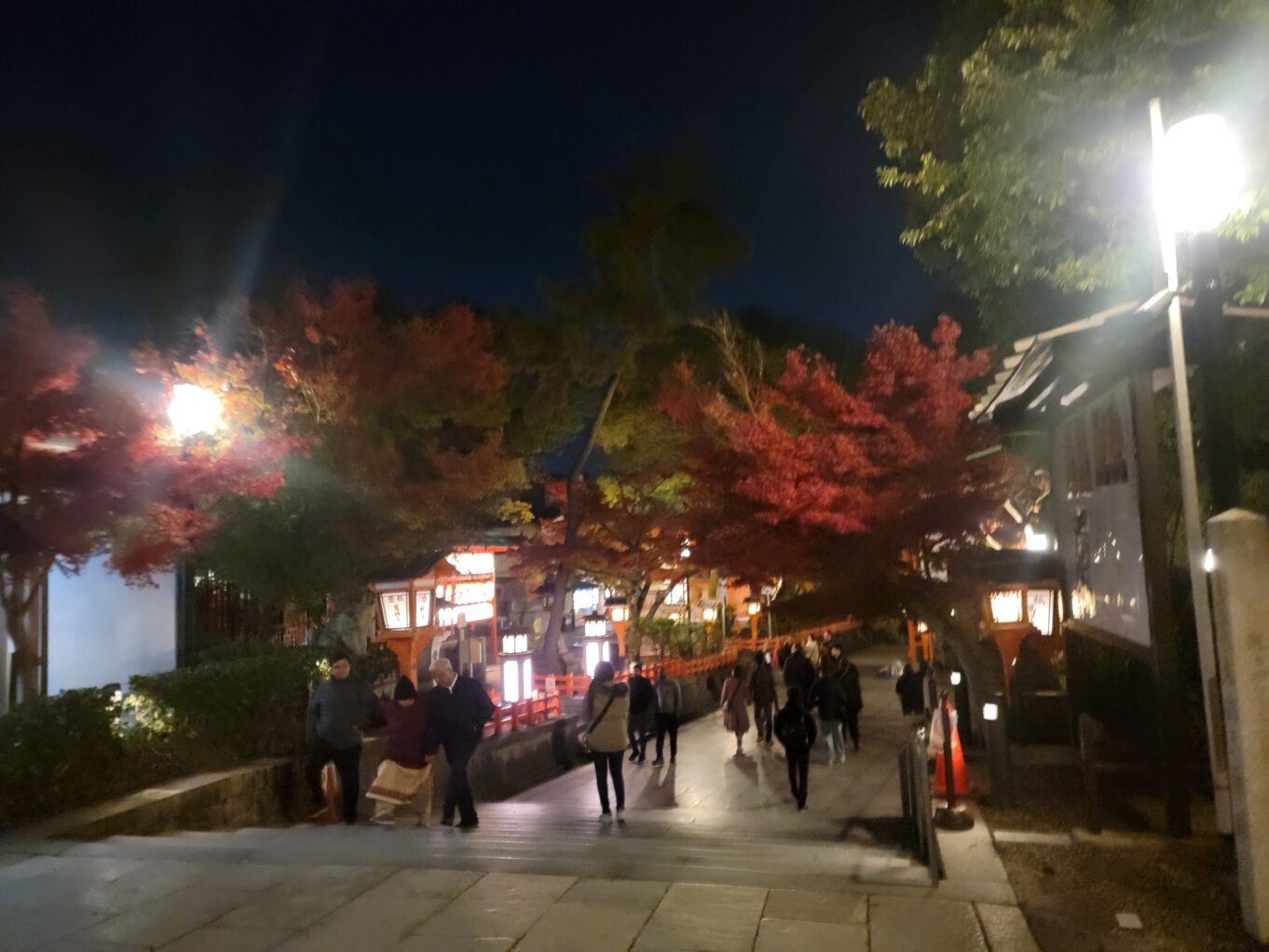 a group of people walking on a sidewalk with trees and buildings in the background