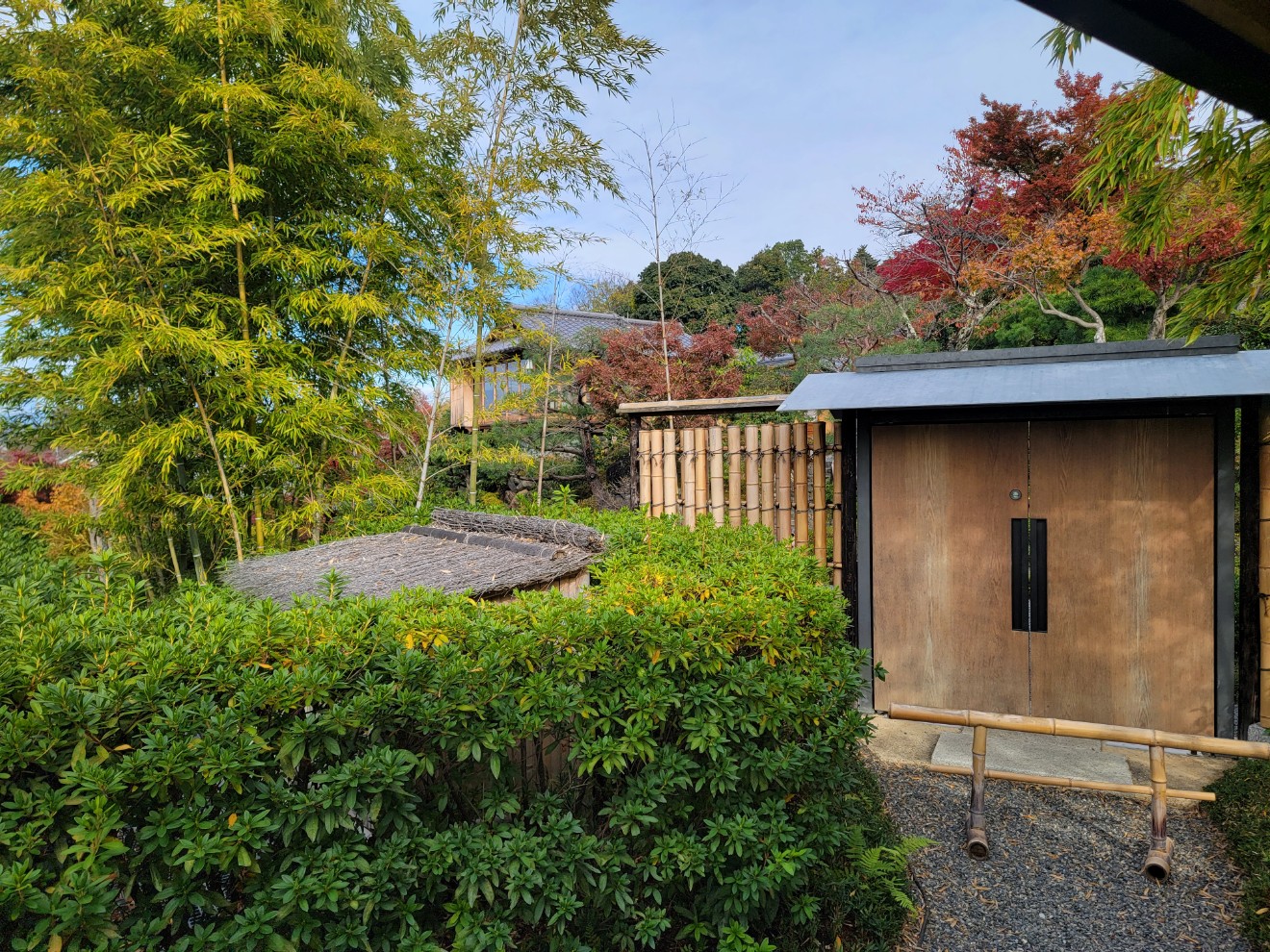 a small shed in a backyard