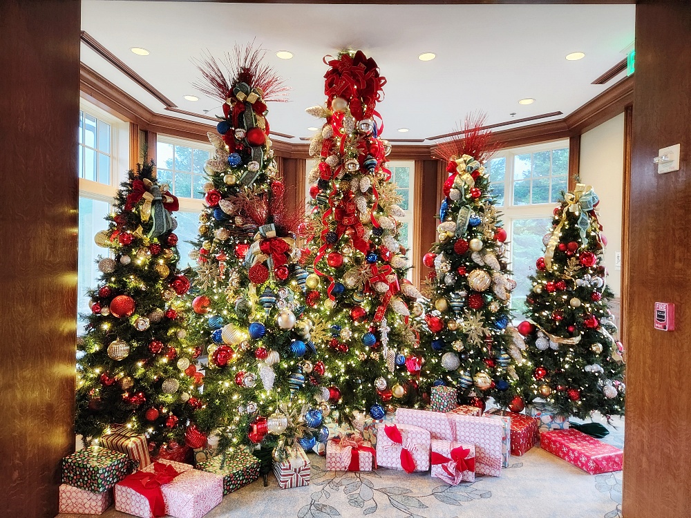 a christmas tree in a room