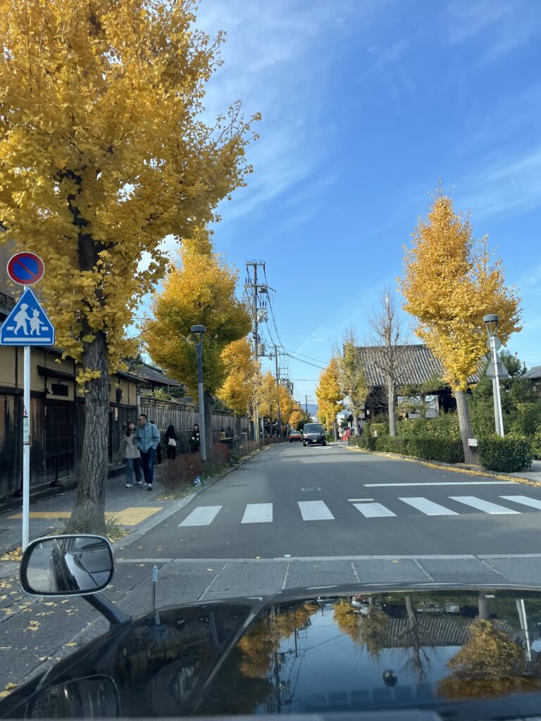 a street with a puddle of water and trees on the side