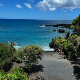 a path leading to a beach