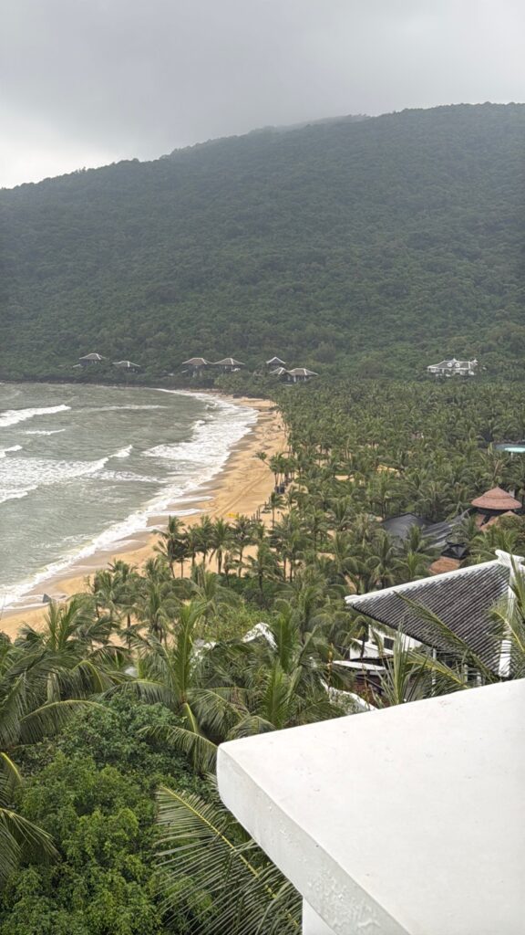 a beach with trees and buildings