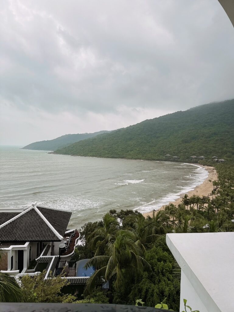 a beach with houses and trees