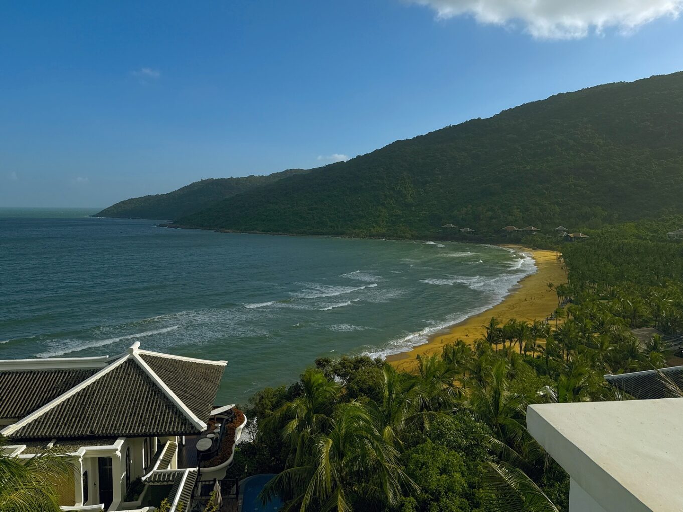 a beach with trees and a body of water