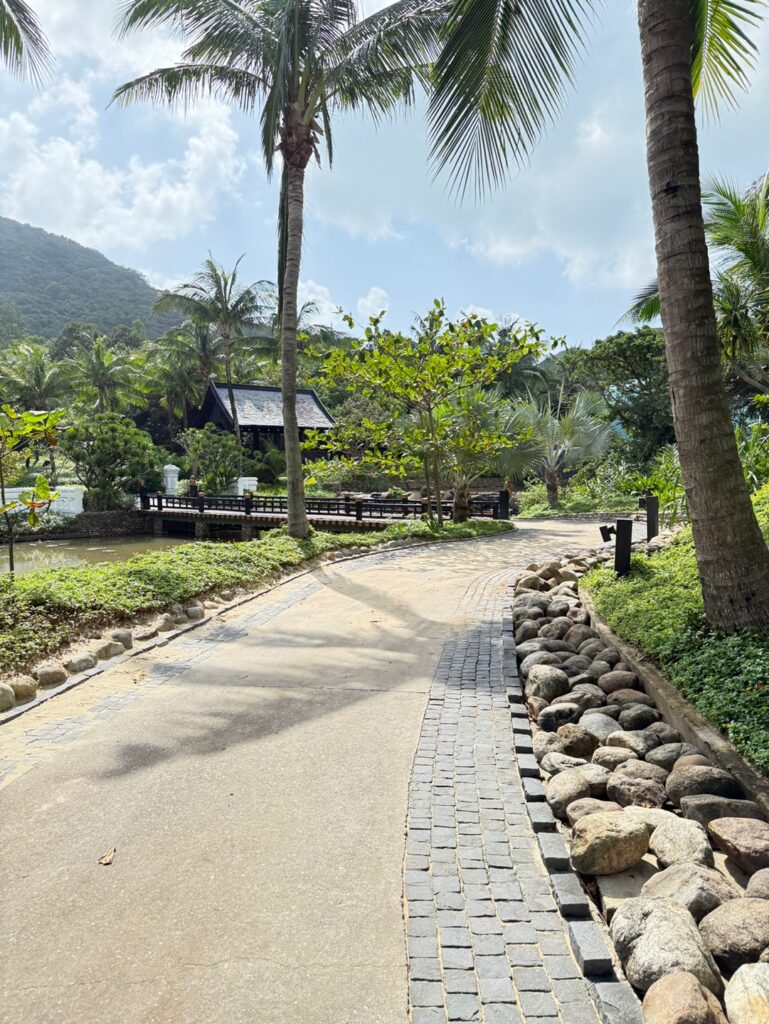 a path with palm trees and a building in the background