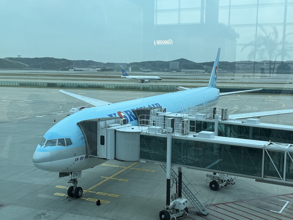 비행기, 야외, 공항, 여객기, 하늘, 항공사, 차량, 항공 여행, 항공기, 교통, 런웨이, 주기장, 탑승교, 제트기, 제트 엔진, 협폭동체 항공기, 서비스, 항공 우주 공학, 항공기 엔진, 비행, 트윈젯, 지상, 건물, 주차된, 타맥 포장, 큰, 에어버스