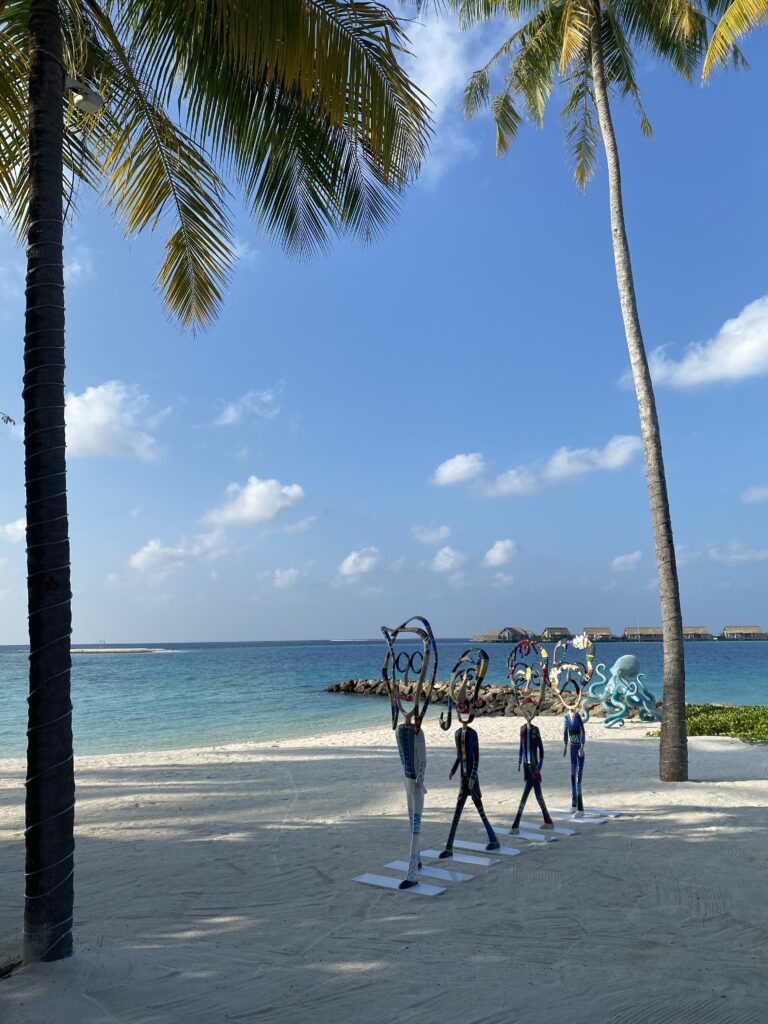 야외, 구름, 해변, 하늘, 야자수, 열대, 종려목, 카리브해, 물, 휴가, 지상, 바바수종려나무, 관광 여행, 사람들, 해안, 사람, 나무, 야자과