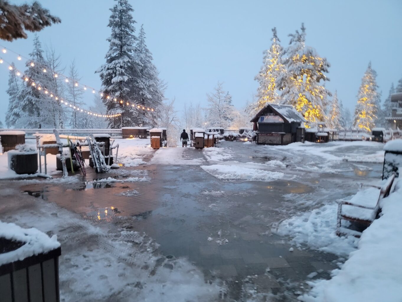 야외, 결빙의, 겨울, 나무, 하늘, 강수, 집, 겨울 폭풍, 눈보라, 가문비나무속, 자연, 눈