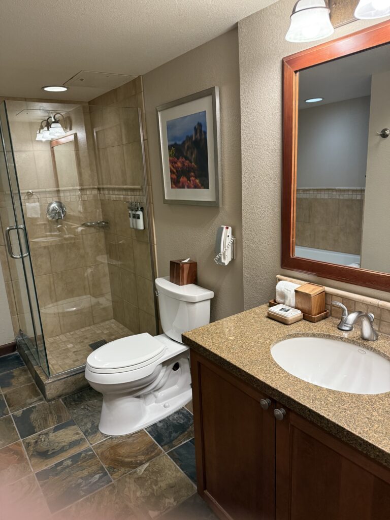 실내, 벽, 배관 설비, 욕실 액세서리, 수도꼭지, 타일, 배관, 화장실, 싱크대, 조리대, 욕조, 욕실 캐비닛, 바닥, 비데, 변기, 인테리어 디자인, 욕실, 방, 거울, 천장, 샤워실, 호텔