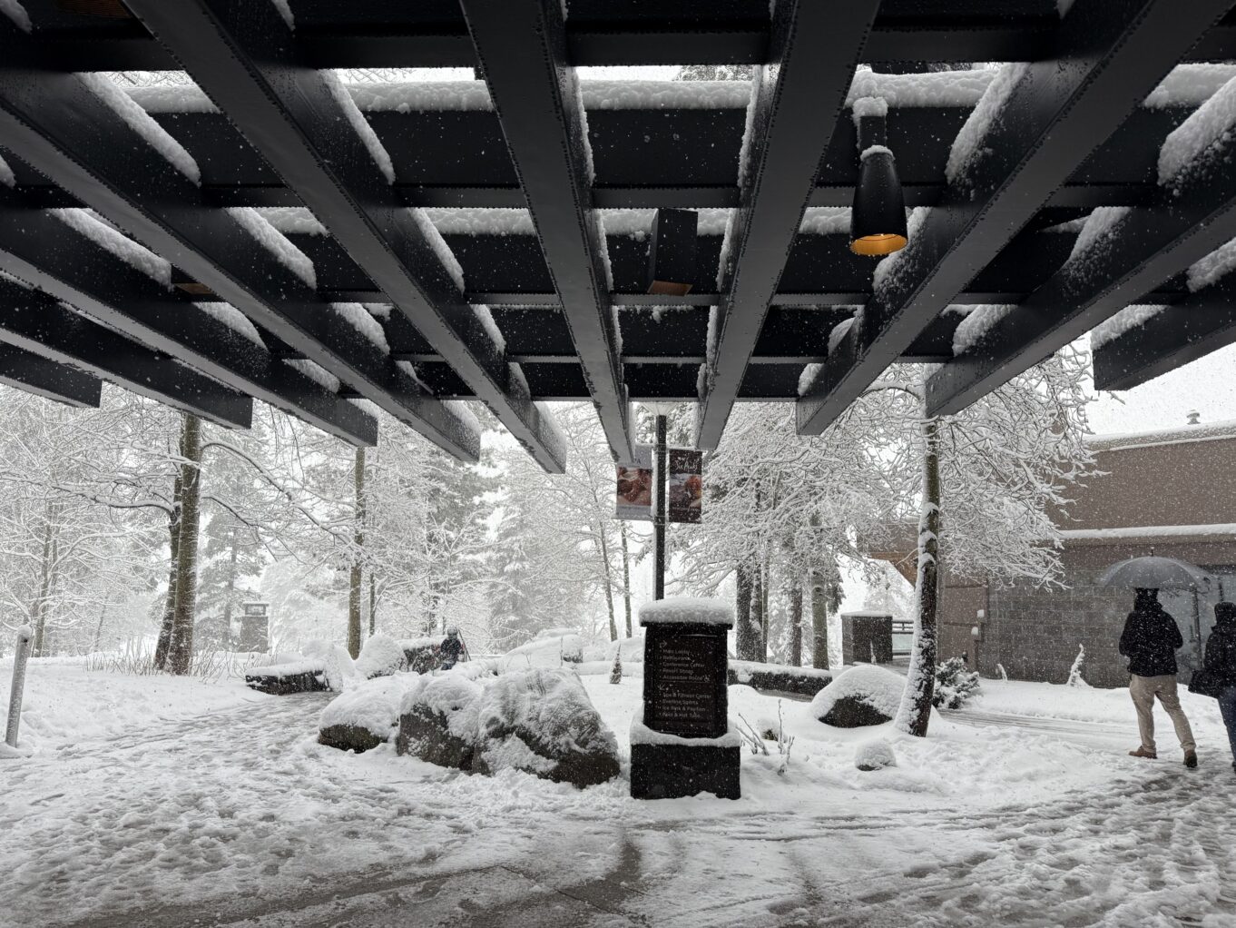 겨울, 건물, 야외, 나무, 흑백, 다리, 눈