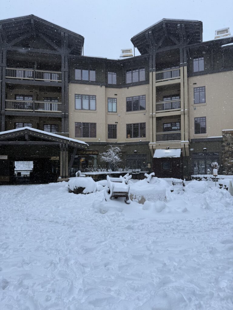 야외, 건물, 하늘, 겨울, 결빙의, 겨울 폭풍, 눈보라, 눈, 집, 자연