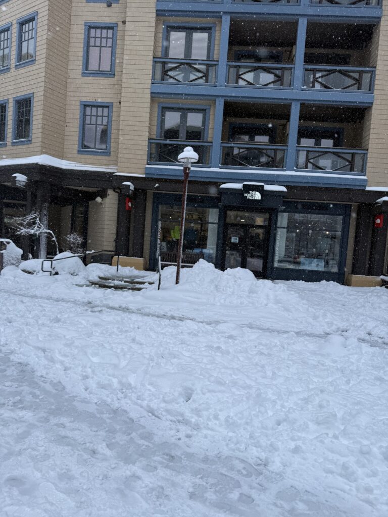 건물, 야외, 겨울, 결빙의, 창문, 눈보라, 겨울 폭풍, 강수, 집, 눈, 덮은, 거리