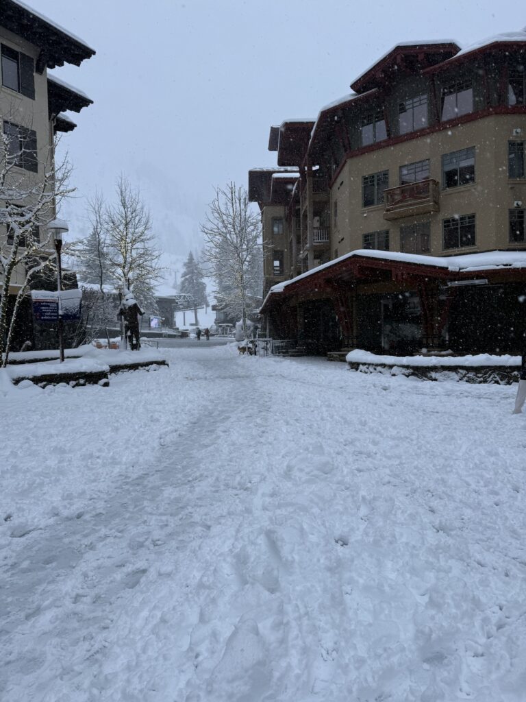 야외, 하늘, 건물, 나무, 겨울, 결빙의, 눈, 겨울 폭풍, 눈보라, 강수, 자연, 서리, 집, 덮은, 거리