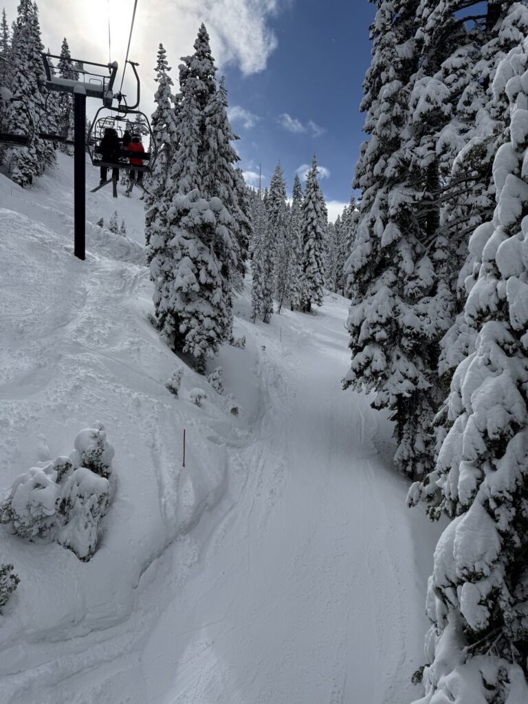 야외, 눈, 겨울, 나무, 스키 토, 하늘, 결빙의, 교통, 스키, 피스트, 스키 타기, 눈보라, 스키 리조트, 겨울 폭풍, 빙하 지형, 경사, 덮은, 사람, 산