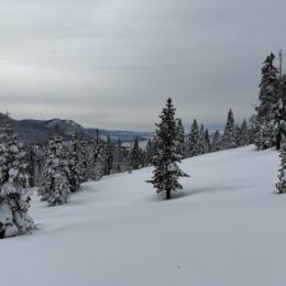 야외, 눈, 하늘, 겨울, 결빙의, 구름, 가문비나무속, 전나무, 자연, 산, 빙하 지형, 눈보라, 소나무, 피스트, 겨울 폭풍, 낙엽송, 지형, 스키, 경사, 덮은, 스키 타기, 나무, 스키 슬로프