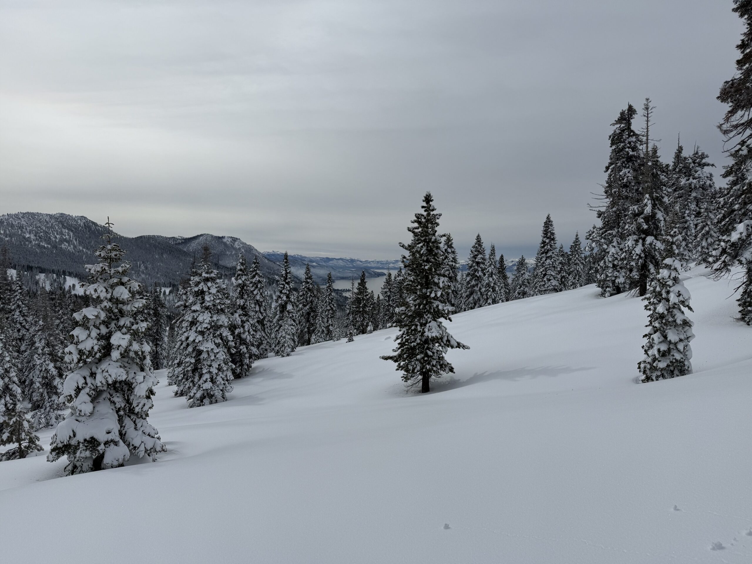 야외, 눈, 하늘, 겨울, 결빙의, 구름, 가문비나무속, 전나무, 자연, 산, 빙하 지형, 눈보라, 소나무, 피스트, 겨울 폭풍, 낙엽송, 지형, 스키, 경사, 덮은, 스키 타기, 나무, 스키 슬로프
