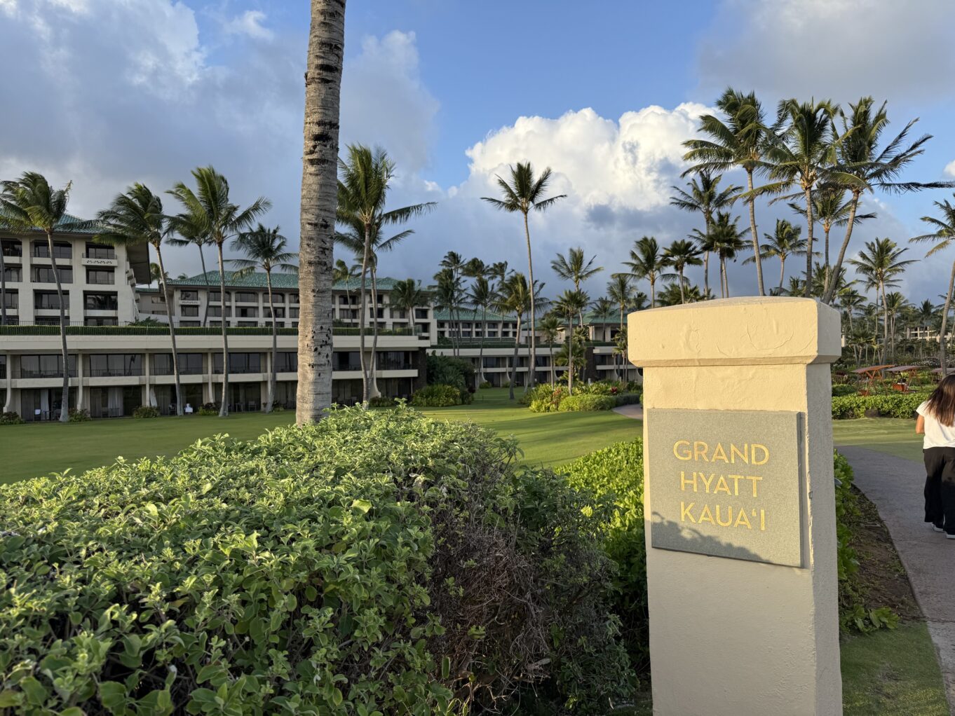 야외, 구름, 하늘, 야자수, 잔디, 식물, 종려목, 나무, 조경, 건물, 야자과, 공원, 사람