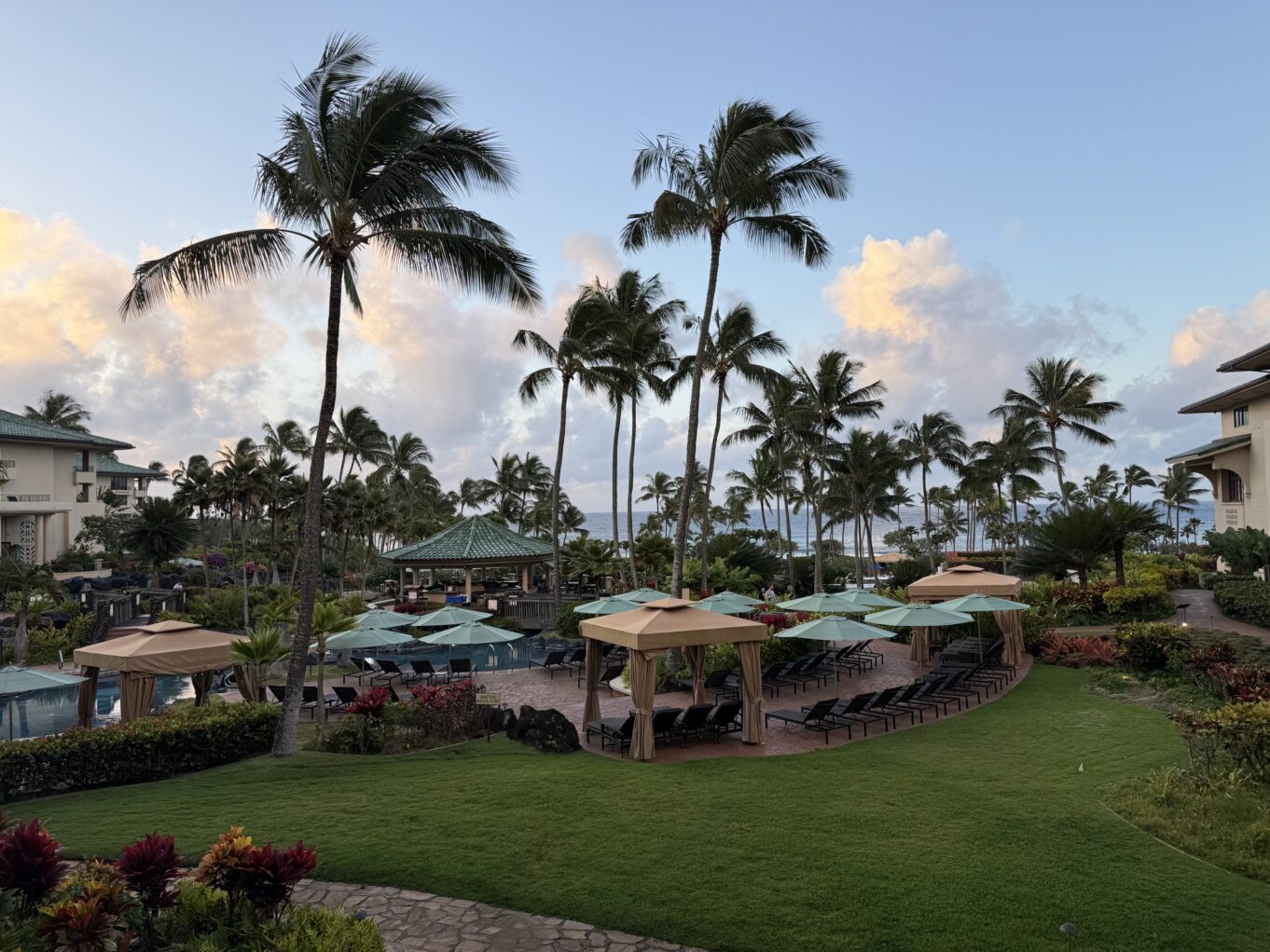 야외, 구름, 하늘, 야자수, 식물, 잔디, 종려목, 야자과, 나무, 공원