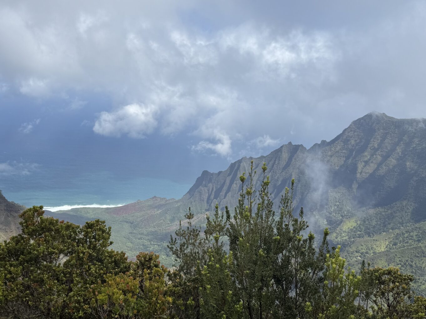 야외, 구름, 경치, 자연, 하늘, 나무, 하이랜드, 힐 스테이션, 언덕, 황야, 산맥, 초목, 매시프, 산, 식물, 지형