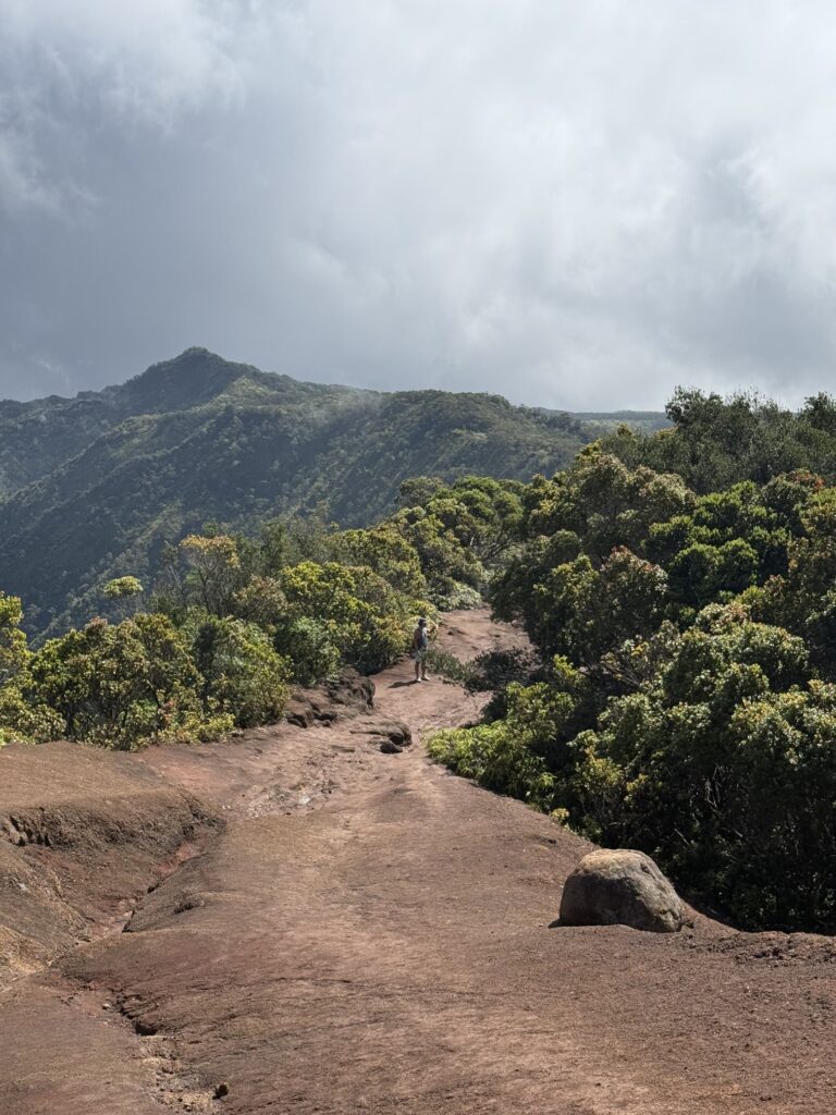 야외, 구름, 하늘, 산, 지상, 나무, 식물, 자연, 식물 군집락, 경치, 토양, 초목, 지중해성 관목지대, 흙, 언덕, 화산, 여행