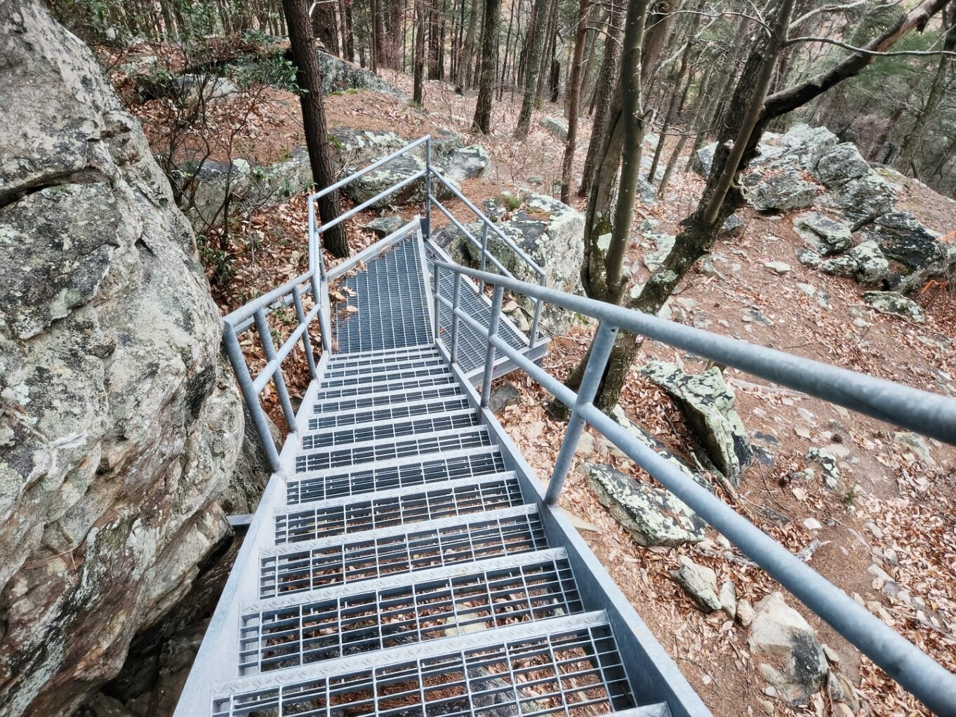 야외, 건물, 나무, 식물, 다리, 울타리, 통나무 다리, 지상, 바위, 숲