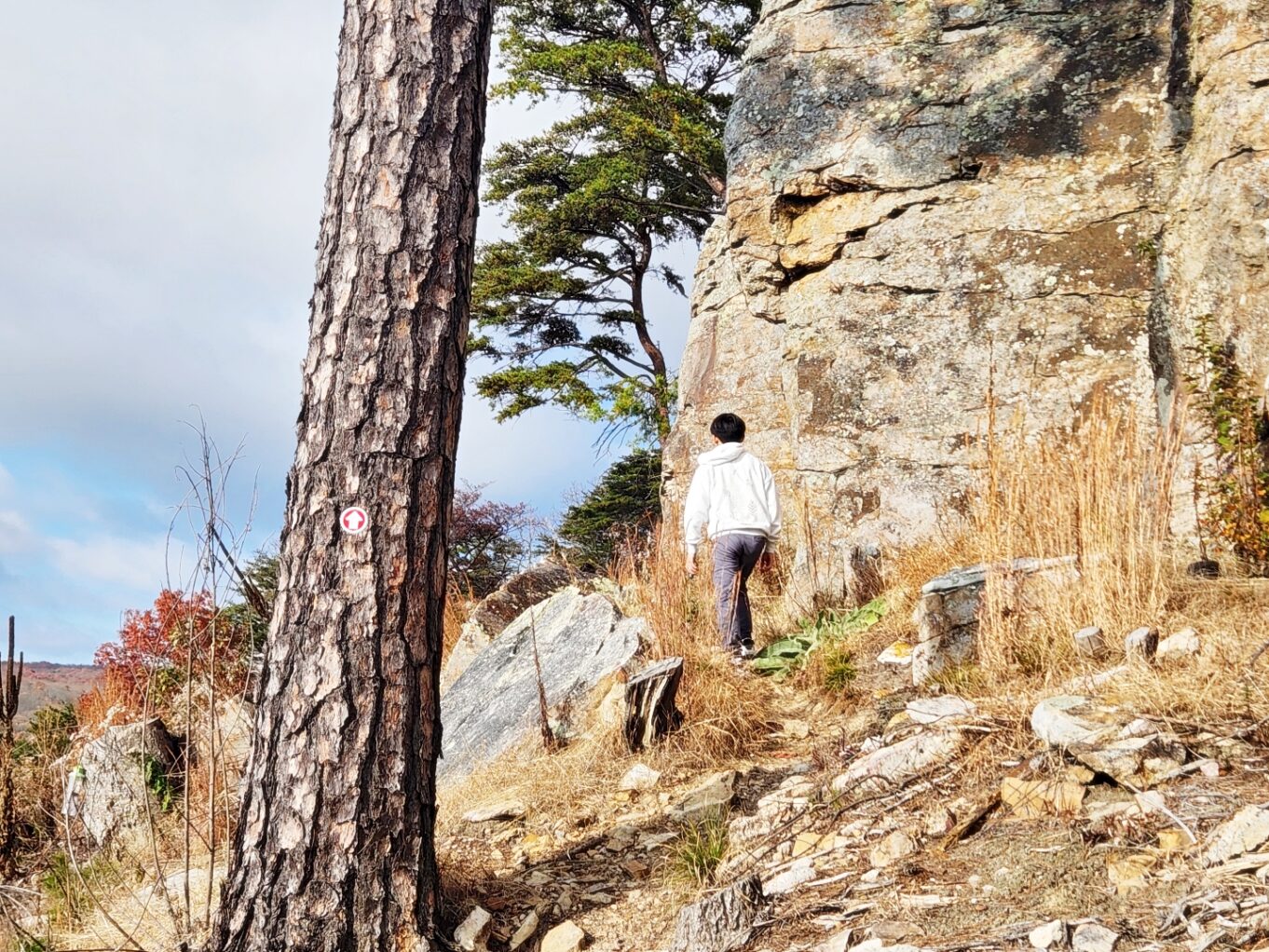 야외, 하늘, 나무, 식물, 기반암, 하이킹, 바위, 노두, 절벽, 자연, 사람, 경치, 산